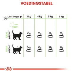 Royal Canin Digestive Care Kattenvoer 4kg -Blaf Miauw Verkoopwinkel 008fe126cdda42e3c6aed5745a0f97752d50468c1cd349557e62f9199c7ffafa