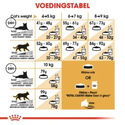 Royal Canin Maine Coon 4kg -Blaf Miauw Verkoopwinkel 0374080cfca08fe20f539e96d88e2c71905e60c2a86c3e53d2e53651b190e5fc