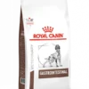 Royal Canin Gastro Intestinal - Hondenvoer - 2kg