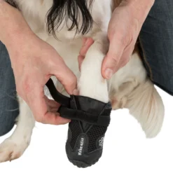 Trixie Pootbescherming Walker Active M 2st. 13 Trixie Pootbescherming Walker Active M 2st. -Blaf Miauw Verkoopwinkel 10162ef70d60bd5b4ee8a12f7485959979be3e588c38bad3a91c131089c28ca1