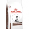Royal Canin Gastro Intestinal Junior - Hondenvoer - 10kg