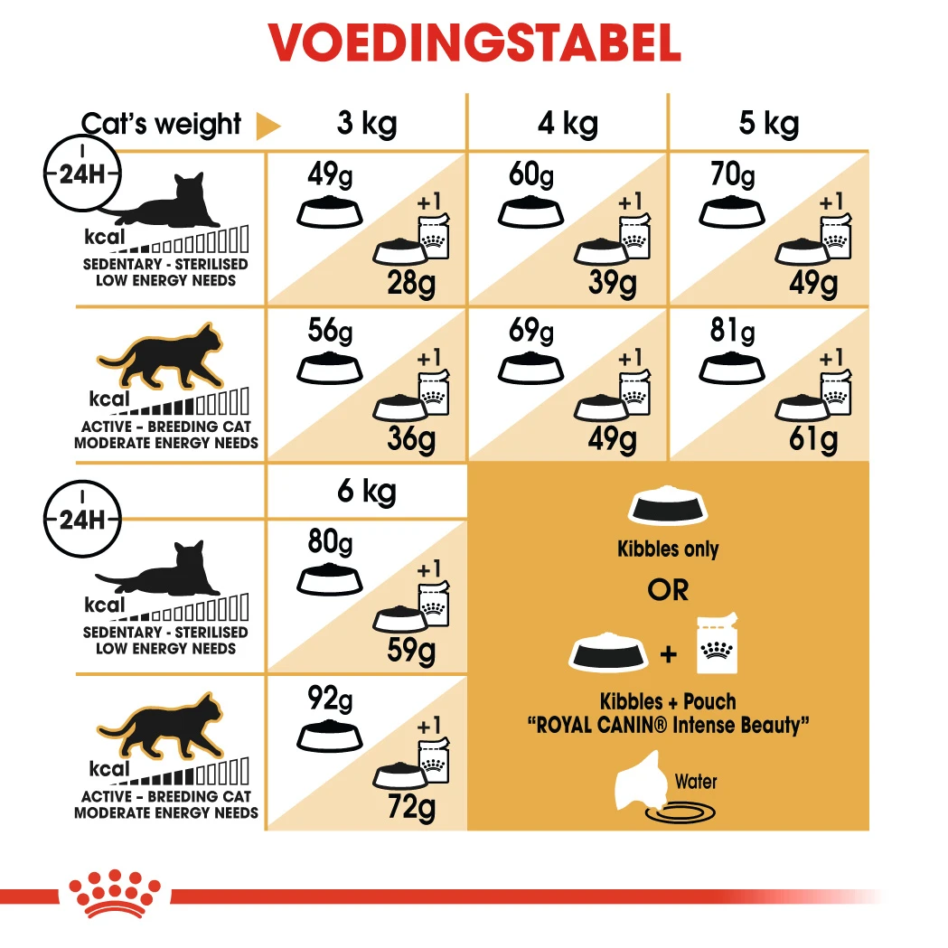 Royal Canin Sphynx 33 - Kattenvoer - 2kg 3 Royal Canin Sphynx 33 - Kattenvoer - 2kg - Afbeelding 3
