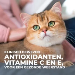 Hill's Science Plan Young Adult Sterilised - Tonijn - 3kg -Blaf Miauw Verkoopwinkel 37098a9fe2951c46acb1b103d375bf1262f294e93049365584c32e594a38a0ea