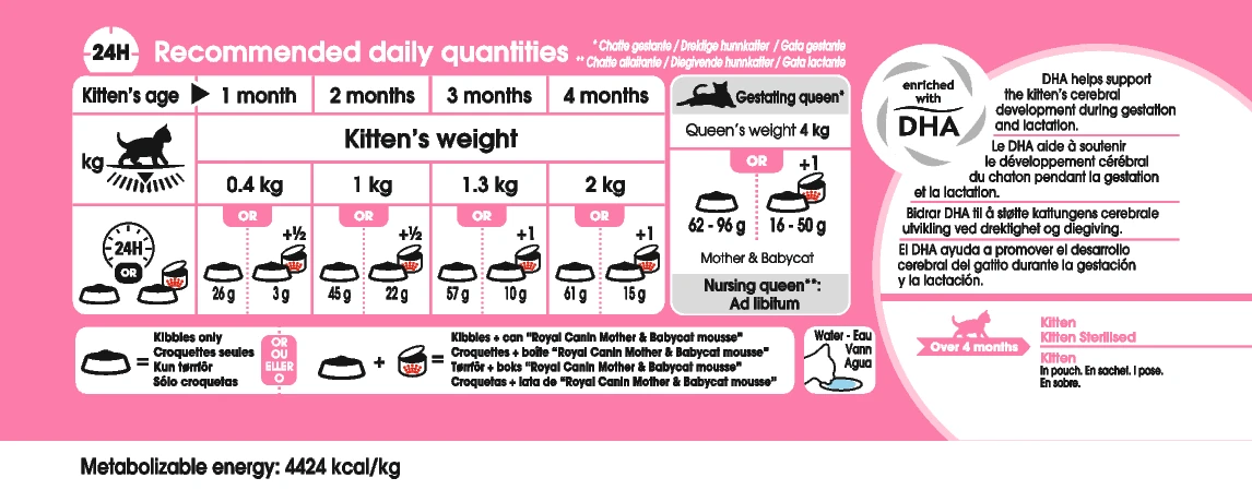 Royal Canin Mother & Babycat 2kg 9 Royal Canin Mother & Babycat 2kg - Afbeelding 9