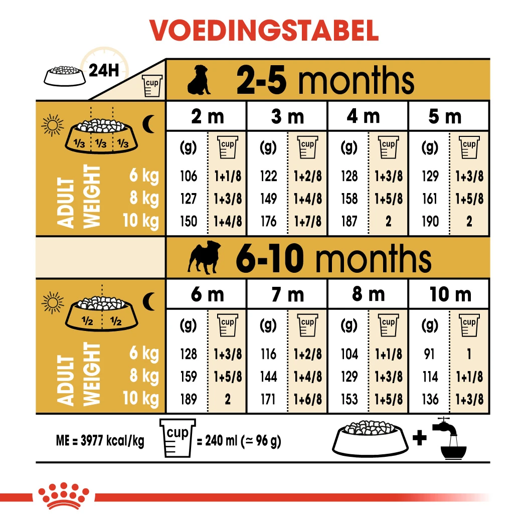 Royal Canin Pug/Mopshond Puppy - Hondenvoer - 1,5kg 3 Royal Canin Pug/Mopshond Puppy - Hondenvoer - 1,5kg - Afbeelding 3