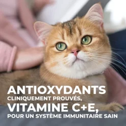 Hill's Science Plan Young Adult Sterilised - Kip - 1,5kg -Blaf Miauw Verkoopwinkel 513a5cf0d62442032d9ee55a67ec2324540993f1bdcabb32f01cb9250a0ec84f