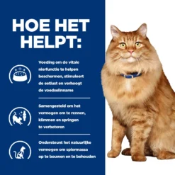 Hill's Prescription Diet K/d + Mobility Kattenvoer Met Kip 3kg 10 Hill's Prescription Diet K/d + Mobility Kattenvoer Met Kip 3kg -Blaf Miauw Verkoopwinkel 52742044767 3 NL
