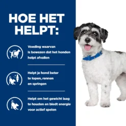 Hill's Prescription Diet Metabolic + Mobility Mini Weight Management Hondenvoer Met Kip 1kg -Blaf Miauw Verkoopwinkel 52742045269 3 NL