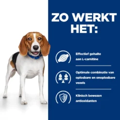 Hill's Hill’s Prescription Diet R/D – Hondenvoer Met Kip – 4kg 9 Hill's Hill’s Prescription Diet R/D – Hondenvoer Met Kip – 4kg -Blaf Miauw Verkoopwinkel 52742047256 2 NL