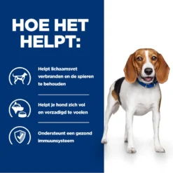 Hill's Hill’s Prescription Diet R/D – Hondenvoer Met Kip – 4kg 10 Hill's Hill’s Prescription Diet R/D – Hondenvoer Met Kip – 4kg -Blaf Miauw Verkoopwinkel 52742047256 3 NL