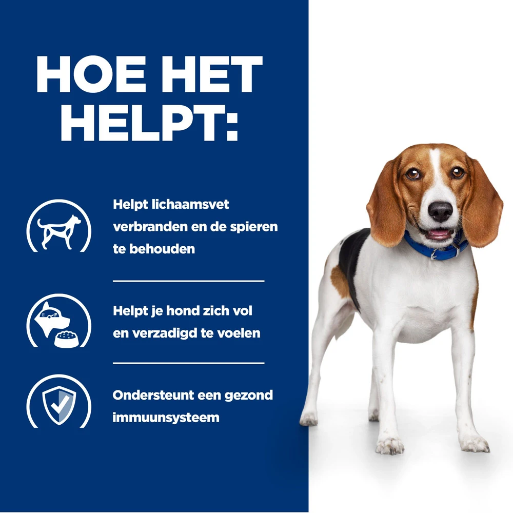 Hill's Hill’s Prescription Diet R/D – Hondenvoer Met Kip – 4kg 4 Hill's Hill’s Prescription Diet R/D – Hondenvoer Met Kip – 4kg - Afbeelding 4