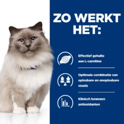 Hill's Prescription Diet R/d Weight Reduction Kattenvoer Met Kip 3kg 9 Hill's Prescription Diet R/d Weight Reduction Kattenvoer Met Kip 3kg -Blaf Miauw Verkoopwinkel 52742048185 2 NL
