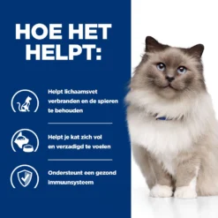 Hill's Prescription Diet R/d Weight Reduction Kattenvoer Met Kip 3kg 10 Hill's Prescription Diet R/d Weight Reduction Kattenvoer Met Kip 3kg -Blaf Miauw Verkoopwinkel 52742048185 3 NL
