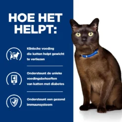 Hill's Hill’s Prescription Diet M/D – Kattenvoer Met Kip – 1,5kg -Blaf Miauw Verkoopwinkel 52742048208 3 NL