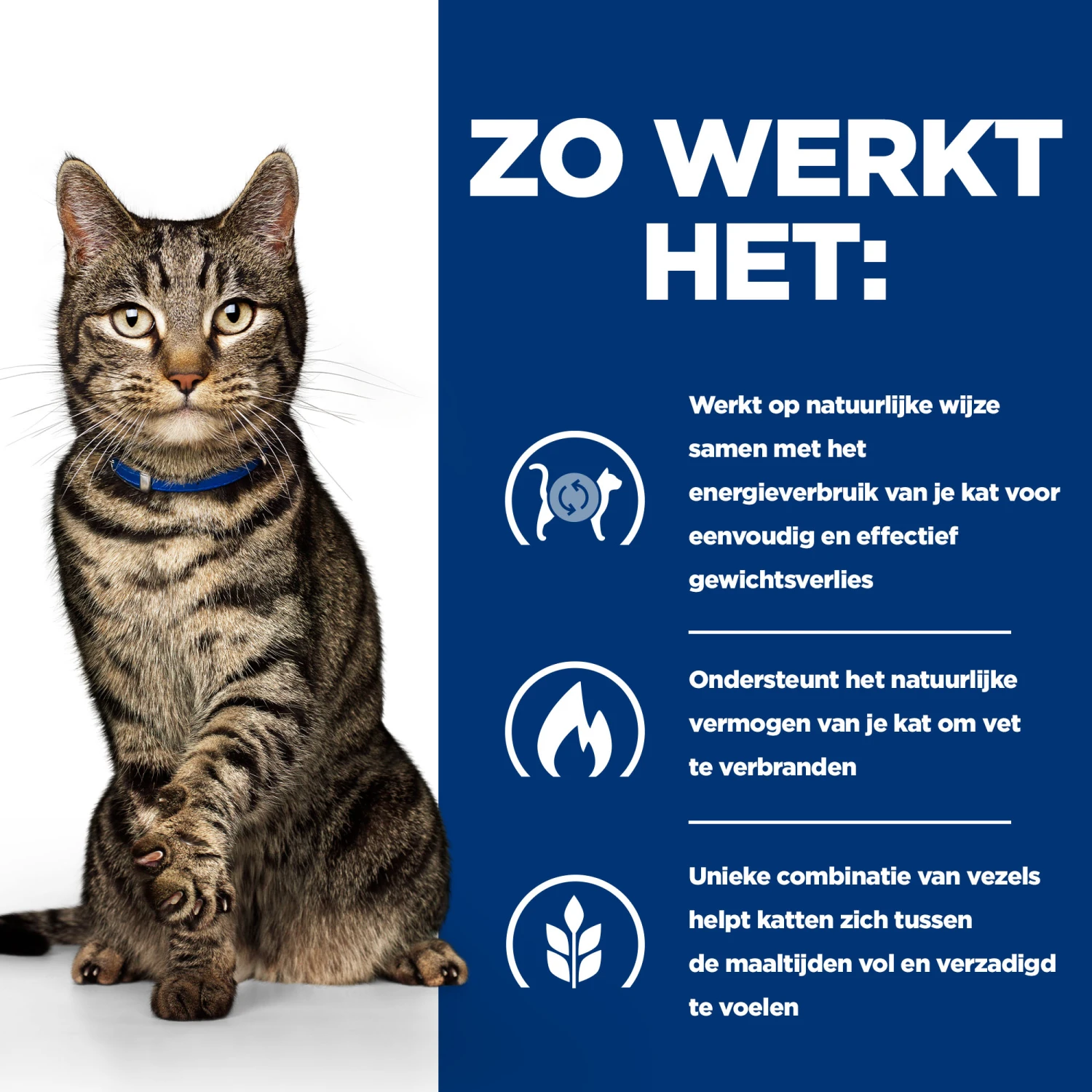 Hill's Prescription Diet Metabolic Tonijn Voor Kat 3kg 3 Hill's Prescription Diet Metabolic Tonijn Voor Kat 3kg - Afbeelding 3