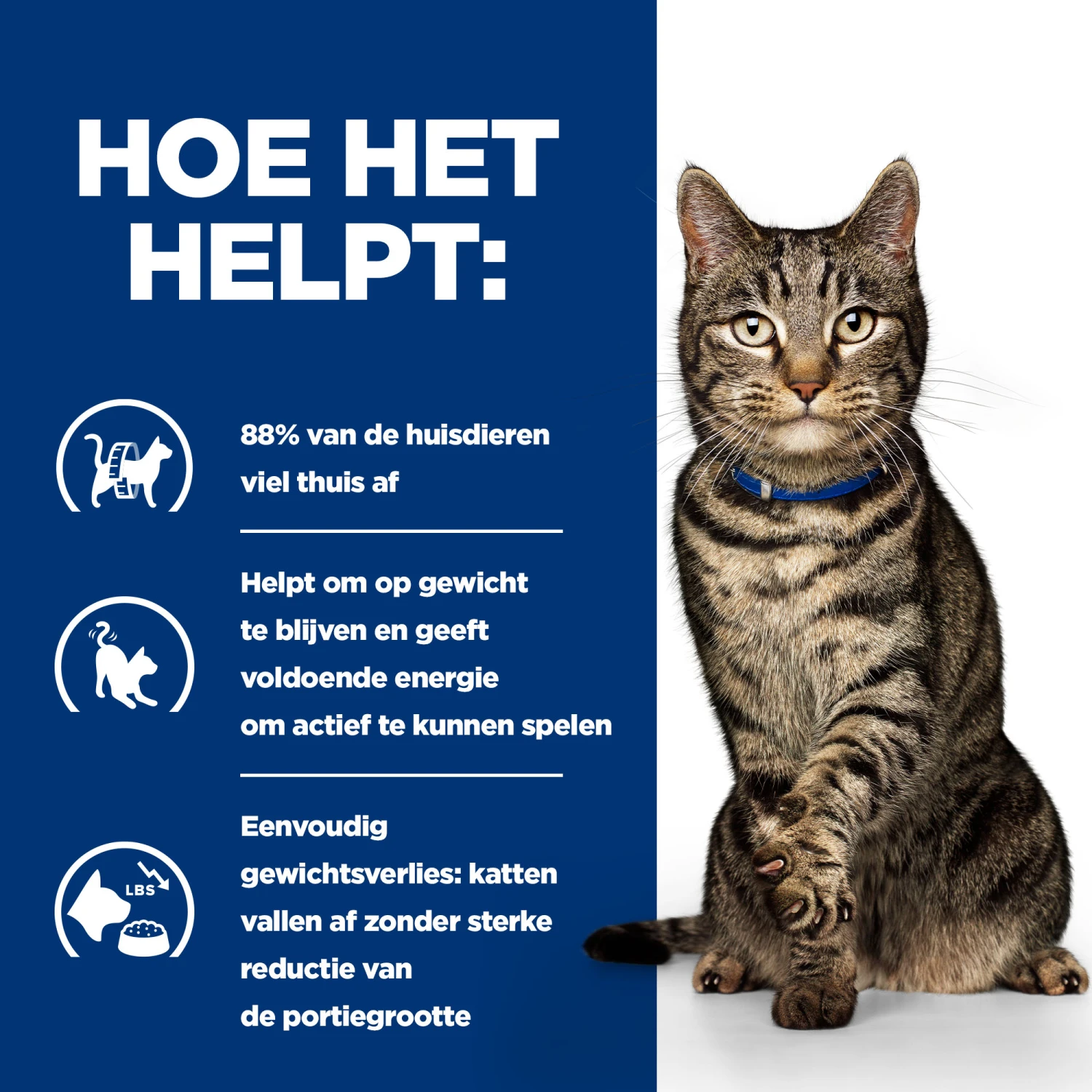 Hill's Prescription Diet Metabolic Tonijn Voor Kat 3kg 4 Hill's Prescription Diet Metabolic Tonijn Voor Kat 3kg - Afbeelding 4