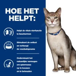 Hill's Hill’s Prescription Diet K/D – Kattenvoer Met Zalm – Maaltijdzakjes 12x85g -Blaf Miauw Verkoopwinkel 52742188416 3 NL