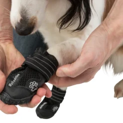 Trixie Pootbescherming Walker Active M 2st. 15 Trixie Pootbescherming Walker Active M 2st. -Blaf Miauw Verkoopwinkel 561144d462bfe8f69bb25fe393eef470c48a5516416032b8e3a8b4f93ec88090