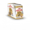 Royal Canin Shih Tzu 12x 85g
