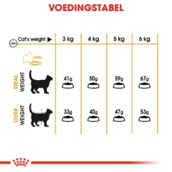 Royal Canin Hair & Skin Care Kattenvoer 2kg -Blaf Miauw Verkoopwinkel 6cd71a60ba99f8570764bedbf54b2943681113398a4dc2074f443d0e11a6fff9