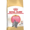 Royal Canin British Shorthair Kitten 2kg