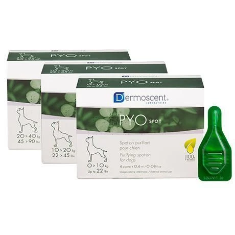 Dermoscent Pyospot Hond 20-40kg 4X2.4ml 1 Dermoscent Pyospot Hond 20-40kg 4X2.4ml