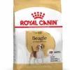 Royal Canin Beagle Adult - Hondenvoer - 12kg