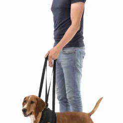 Trixie Loophulp L–xl 75–85 Cm 5 Trixie Loophulp L–xl 75–85 Cm -Blaf Miauw Verkoopwinkel 85b322f9b7526a208255492098ed26e73a05d5fdc2d4f1282195db003477aff7