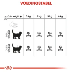 Royal Canin Dental Care Kattenvoer 3,5kg -Blaf Miauw Verkoopwinkel 87cf17d147fbd085e4655802ded4226cb6e76488ebb3f98d72bdcf3c8ce16388 1
