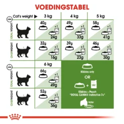 Royal Canin Outdoor 7+ Kat 10kg -Blaf Miauw Verkoopwinkel 8f7984f3cf73234e0ce45b883553167df5187de81e69656a7c70a1be5abe336f 2