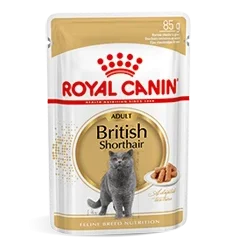 Royal Canin British Shorthair Adult Natvoer Kat 48x 85g