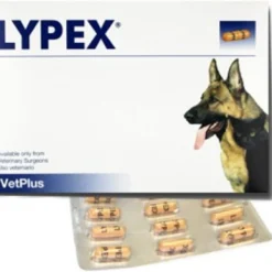 Lypex Hond-kat Caps 60