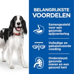 Hill's Science Plan Healthy Cuisine Hond Multipack Met Kip En Rund 12x90g -Blaf Miauw Verkoopwinkel Hills Healthy Cuisine Stoofpotje Hond 2 NL