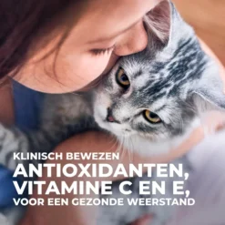 Hill's Science Plan Kitten Perfect Digestion Met Kip En Bruine Rijst Kattenvoer 10kg -Blaf Miauw Verkoopwinkel Hills Science Plan Kitten Perfect Digestion 6 NL