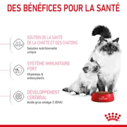 Royal Canin Mother & Babycat 2kg 13 Royal Canin Mother & Babycat 2kg -Blaf Miauw Verkoopwinkel RC SPT DRY Babycat 4 FR 1
