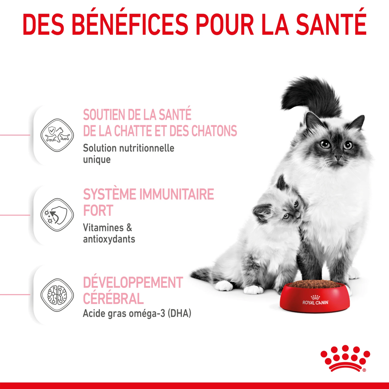 Royal Canin Mother & Babycat 2kg 5 Royal Canin Mother & Babycat 2kg - Afbeelding 5