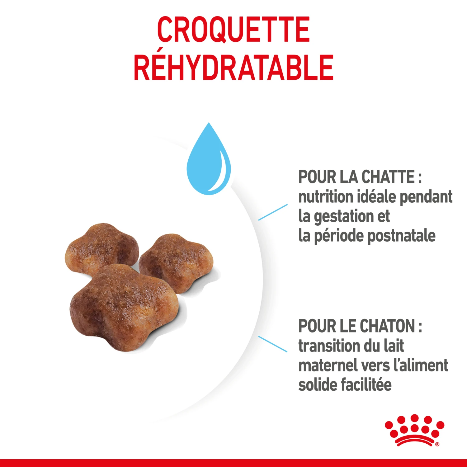 Royal Canin Mother & Babycat 2kg 3 Royal Canin Mother & Babycat 2kg - Afbeelding 3