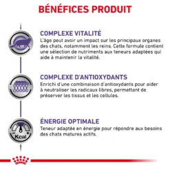 Royal Canin Mature Consult Cat - 12x85g -Blaf Miauw Verkoopwinkel RC VET WET CatMatCons 2 FR 1