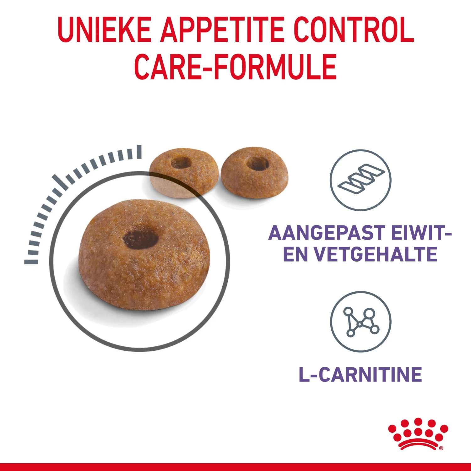 Royal Canin Appetite Control Kattenvoer 2kg 5 Royal Canin Appetite Control Kattenvoer 2kg - Afbeelding 5