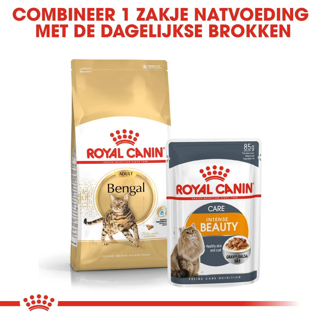 Royal Canin Bengal Adult Kattenvoer 10kg 6 Royal Canin Bengal Adult Kattenvoer 10kg - Afbeelding 6