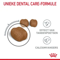 Royal Canin Dental Care Kattenvoer 8kg -Blaf Miauw Verkoopwinkel Royal Canin Dental Care Kat NL 04