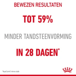 Royal Canin Dental Care Kattenvoer 8kg -Blaf Miauw Verkoopwinkel Royal Canin Dental Care Kat NL 05