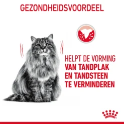 Royal Canin Dental Care Kattenvoer 3,5kg -Blaf Miauw Verkoopwinkel Royal Canin Dental Care Kat NL 06 1