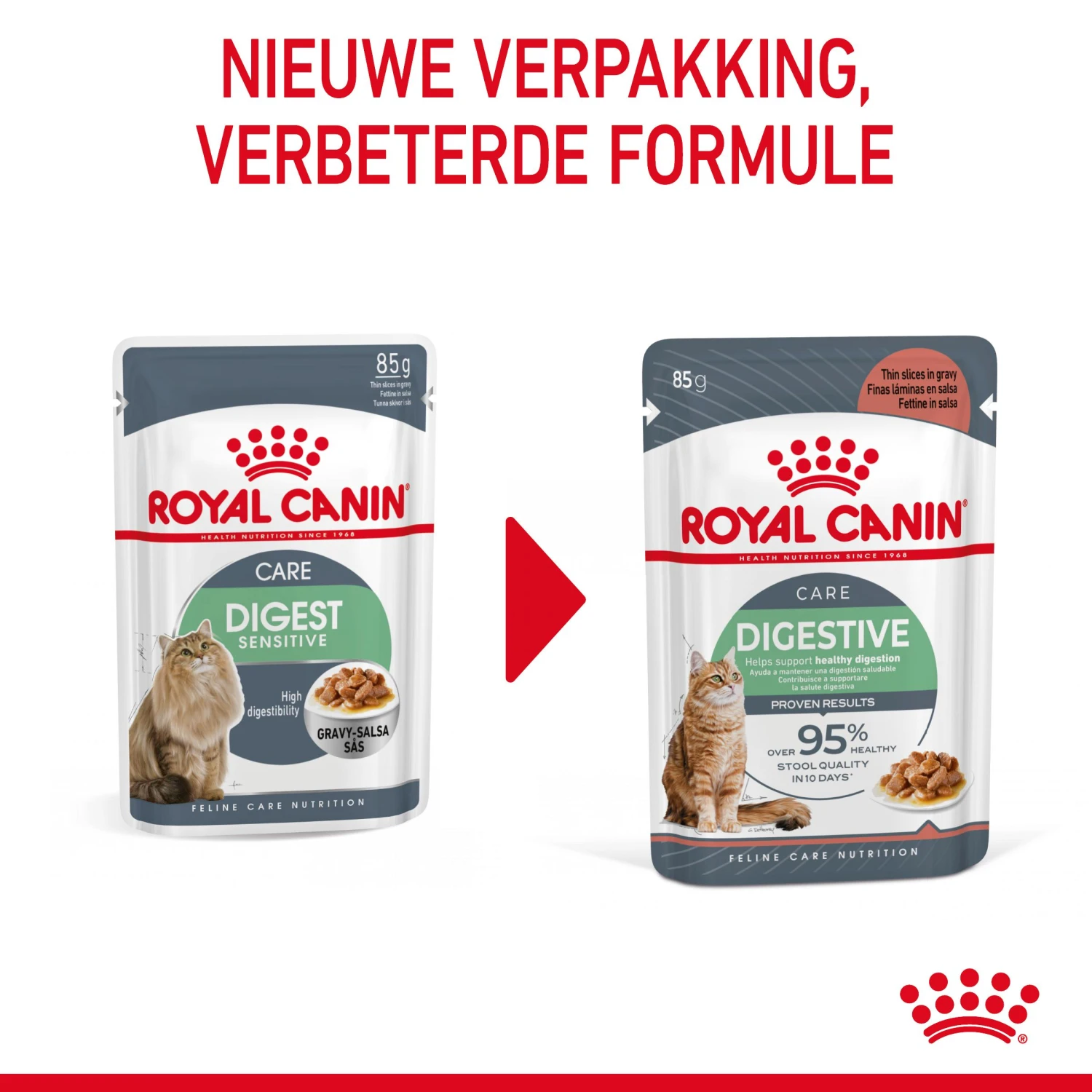 Royal Canin Digestive Care Natvoer In Gravy Kattenvoer 12x85g 4 Royal Canin Digestive Care Natvoer In Gravy Kattenvoer 12x85g - Afbeelding 4