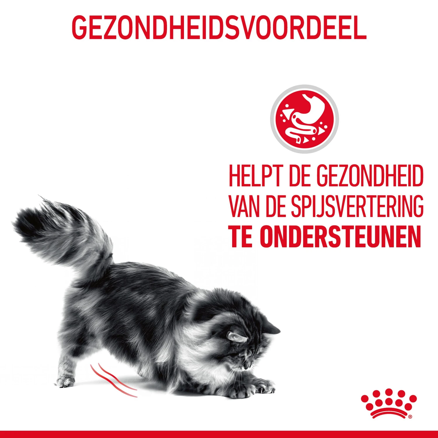 Royal Canin Digestive Care Natvoer In Gravy Kattenvoer 12x85g 7 Royal Canin Digestive Care Natvoer In Gravy Kattenvoer 12x85g - Afbeelding 7