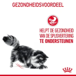 Royal Canin Digestive Care Natvoer In Gravy Kattenvoer 48x85g -Blaf Miauw Verkoopwinkel Royal Canin Digestive Care Gravy Kat NL 08