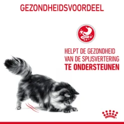 Royal Canin Digestive Care Kattenvoer 4kg -Blaf Miauw Verkoopwinkel Royal Canin Digestive Care Kat NL 07