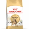 Royal Canin Bengal Adult Kattenvoer 10kg