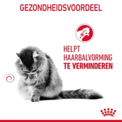 Royal Canin Hairball Care Kattenvoer 10kg -Blaf Miauw Verkoopwinkel Royal Canin Hairball Care Kat NL 07