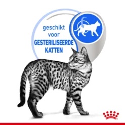 Royal Canin Indoor Sterilised In Jelly Kattenvoer 12x85g -Blaf Miauw Verkoopwinkel Royal Canin Indoor Sterilised Jelly Kat NL 4